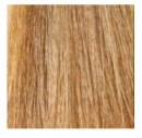 KAARAL, BACO, Крем-краска с гидролизатами шелка, №8.30 B, светлый золотистый блондин, 100 мл