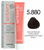 TEFIA, AMBIENT, Перманентная крем-краска №5/880, светлый брюнет интенсивный коричневый для седых волос, 60 мл 