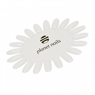 PLANET NAILS, Палитра для лаков ромашка, матовая с логотипом