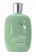ALFAPARF, Шампунь энергетический против выпадения волос, SDL SCALP ENERGIZING SHAMPOO, 250 мл 