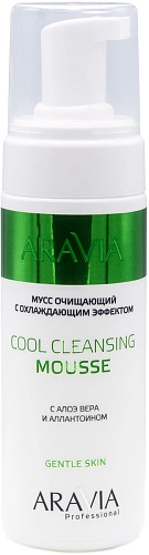 ARAVIA PROFESSIONAL, Мусс очищающий с охлаждающим эффектом с алоэ вера и аллантоином Cool Cleansing Mousse, 160 мл